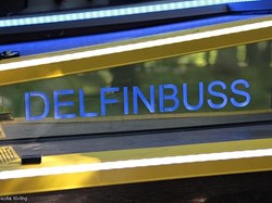 Delfinbuss trappa.jpg